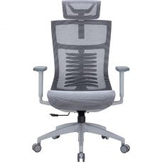 Офисное кресло офисное Officepro Balance OC620-G-DG-DG