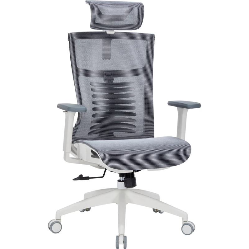 Офисное кресло Officepro Balance OC620-W-DG-DG