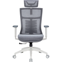 Крісло офісне Officepro Balance OC620-W-DG-DG