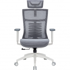 Офисное кресло Officepro Balance OC620-W-DG-DG
