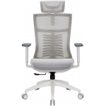 Офисное кресло Officepro Balance OC620-W-LG-LG