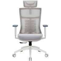 Крісло офісне Officepro Balance OC620-W-LG-LG
