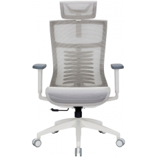 Офисное кресло Officepro Balance OC620-W-LG-LG