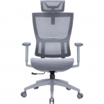 Офисное кресло Officepro Elegant OC660-G-DG-DG