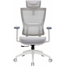 Крісло офісне Officepro Elegant OC660-W-LG-LG