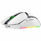 Миша RAZER Cobra Pro, white (RZ01-04660200-R3G1)