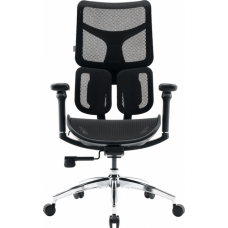 Офисное кресло Sihoo DORO S100 Mesh Black (S100-M301)
