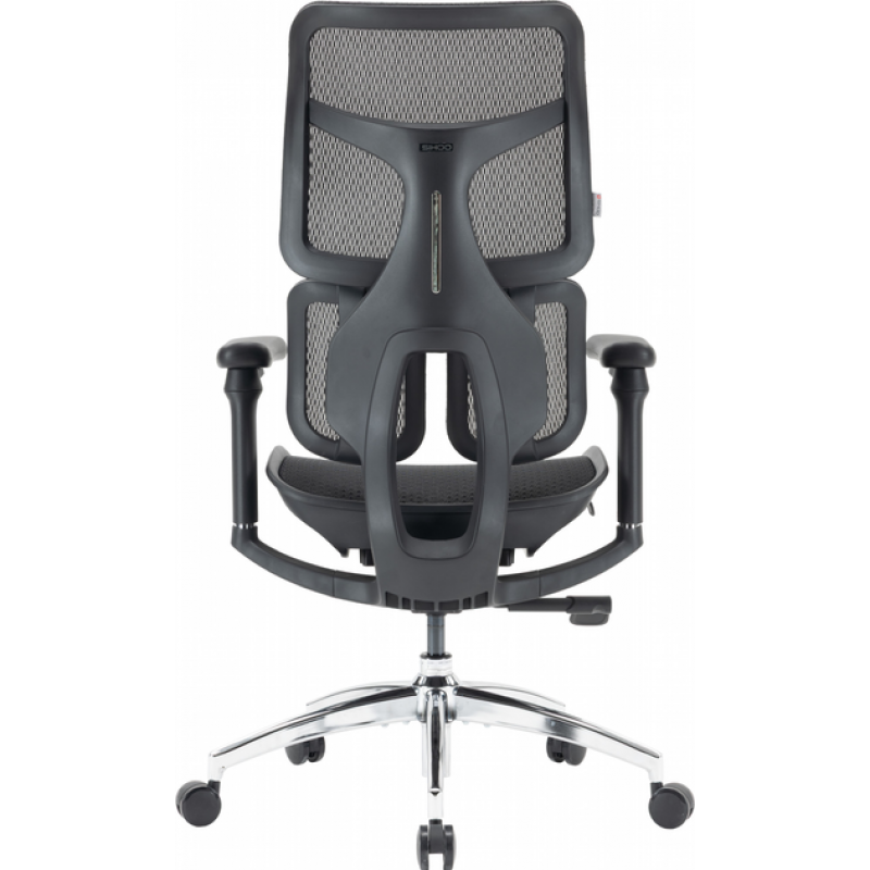 Крісло офісне Sihoo DORO S100 Mesh Black (S100-M301)