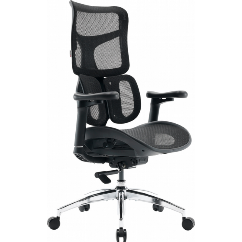 Крісло офісне Sihoo DORO S100 Mesh Black (S100-M301)