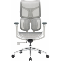 Офисное кресло Sihoo DORO S100 Mesh White (S100-M302)