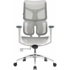 Офисное кресло Sihoo DORO S100 Mesh White (S100-M302)