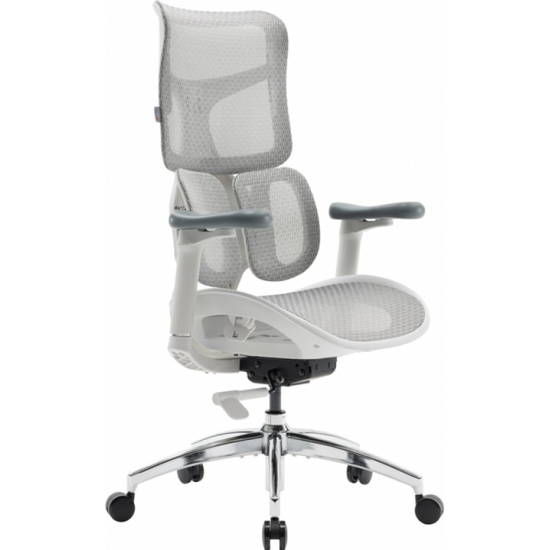 Крісло офісне Sihoo DORO S100 Mesh White (S100-M302)