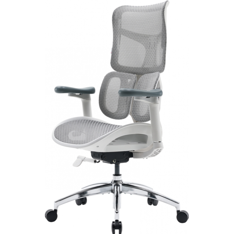Крісло офісне Sihoo DORO S100 Mesh White (S100-M302)