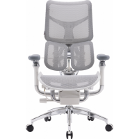 Офисное кресло Sihoo DORO S300 Mesh Light Grey (S300-M202)