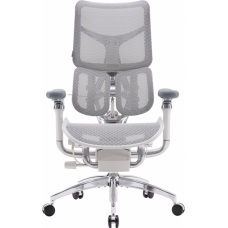 Офисное кресло Sihoo DORO S300 Mesh Light Grey (S300-M202)