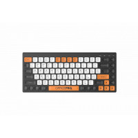 Клавиатура беспроводная OfficePro (SK955B)
