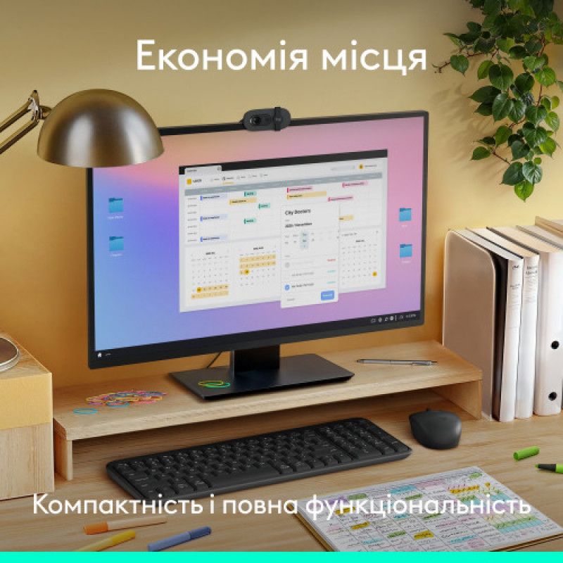 Комплект (клавиатура, мышь) беспроводной Logitech MK250 Graphite (920-013823)
