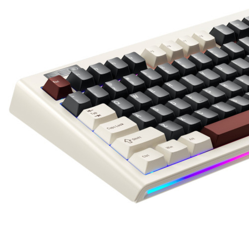 Клавиатура 1stPlayer NEO87 Rome (NEO87-RM-WLD)