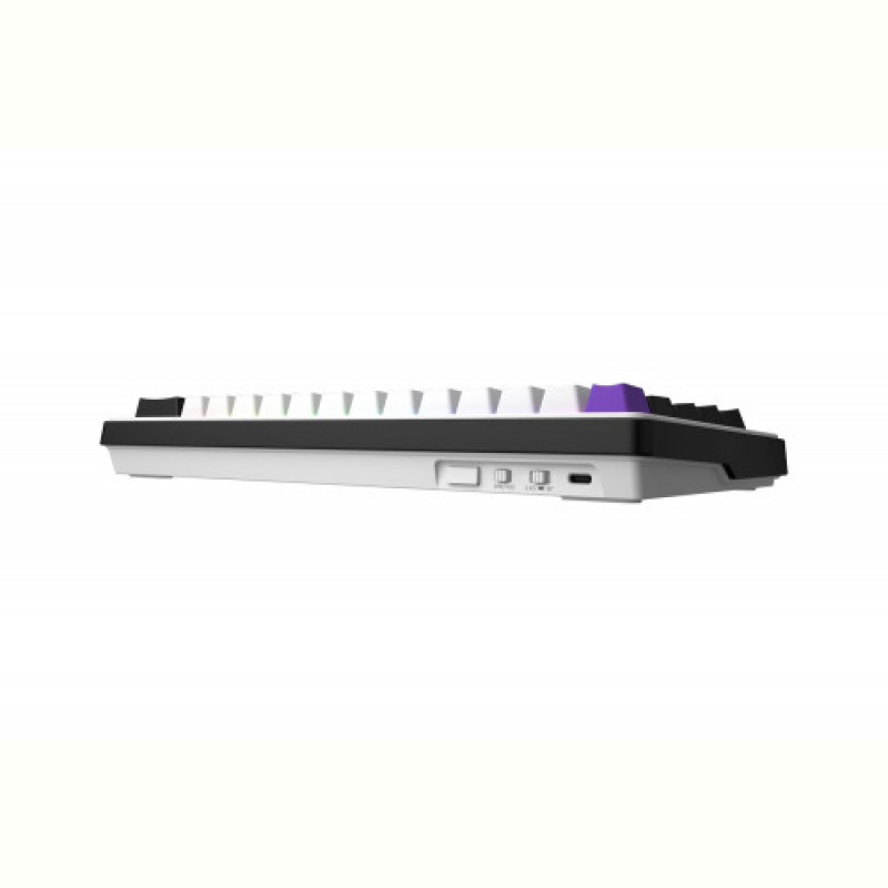 Клавіатура бездротова Hator Hellyberry HK60 Wireless White/Violet