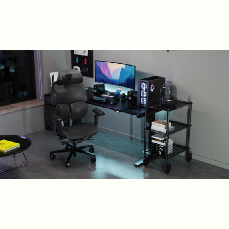 Крісло для геймерів TX3 Flex Pro Mesh Black (TEGC-3076101.12)