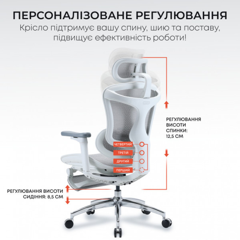 Кресло офисное с подставкой для ног Sihoo DORO C300L Mesh White with footrest (DORO-C300L-A3-102-JT)