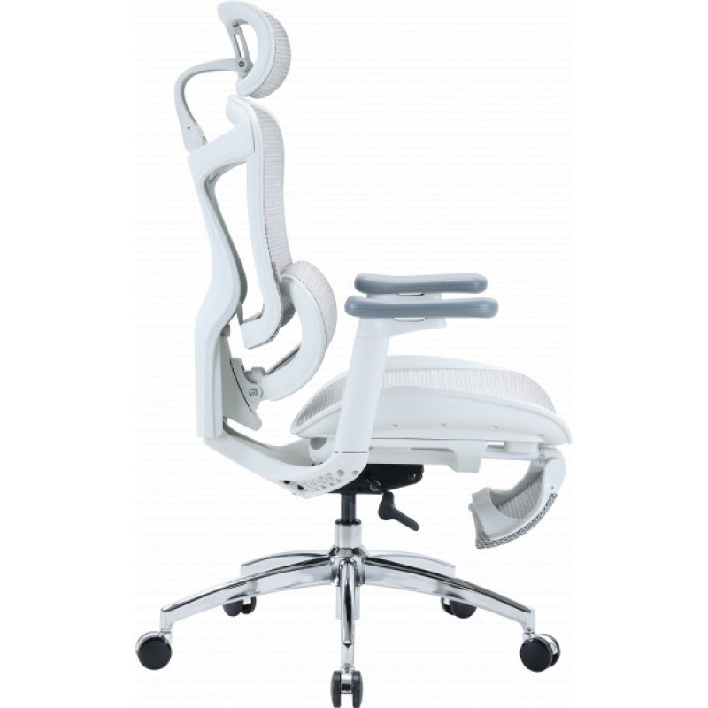 Кресло офисное с подставкой для ног Sihoo DORO C300L Mesh White with footrest (DORO-C300L-A3-102-JT)