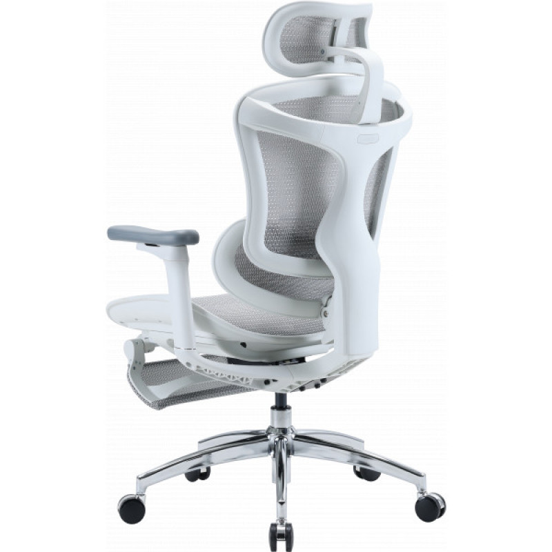 Кресло офисное с подставкой для ног Sihoo DORO C300L Mesh White with footrest (DORO-C300L-A3-102-JT)