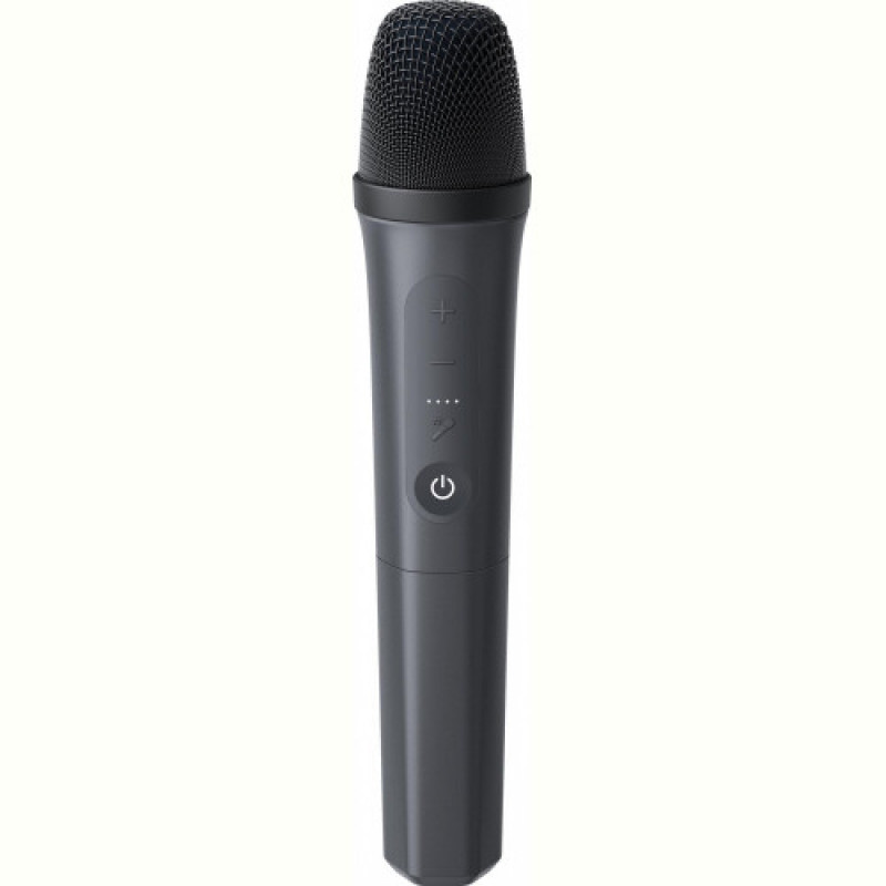 Акустическая система Anker SoundCore Rave 3S Black (A31A3012)