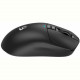 Мышь беспроводная A4Tech Bloody R72 Pro Duo Black