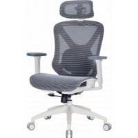Офисное кресло Officepro Atlas OC630-W-DG-DG