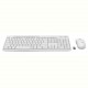 Комплект (клавiатура, миша) бездротовий Logitech MK295 Combo White USB (920-009824)