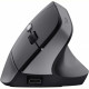 Миша бездротова Trust Bayo II Ergonomic Black (25145)
