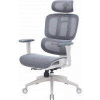 Офисное кресло OfficePro Skyline OC680-W-DG-DG