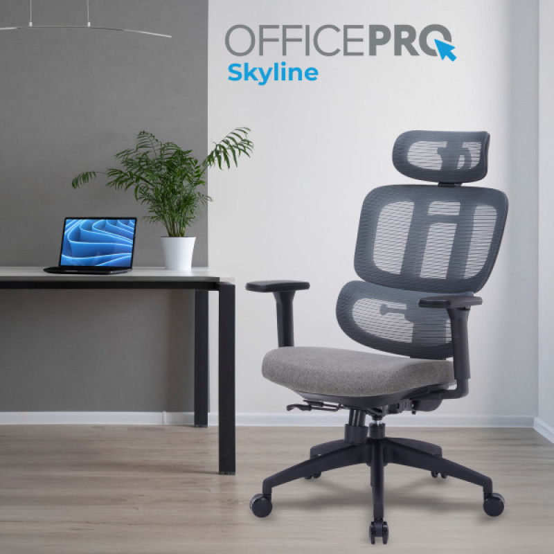 Офисное кресло OfficePro Skyline OC580-B-DG-DG