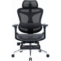 Крісло офісне з підставкою для ніг Sihoo DORO C300L Mesh Black with footrest (DORO-C300L-A3-101-JT)