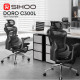 Крісло офісне з підставкою для ніг Sihoo DORO C300L Mesh Black with footrest (DORO-C300L-A3-101-JT)