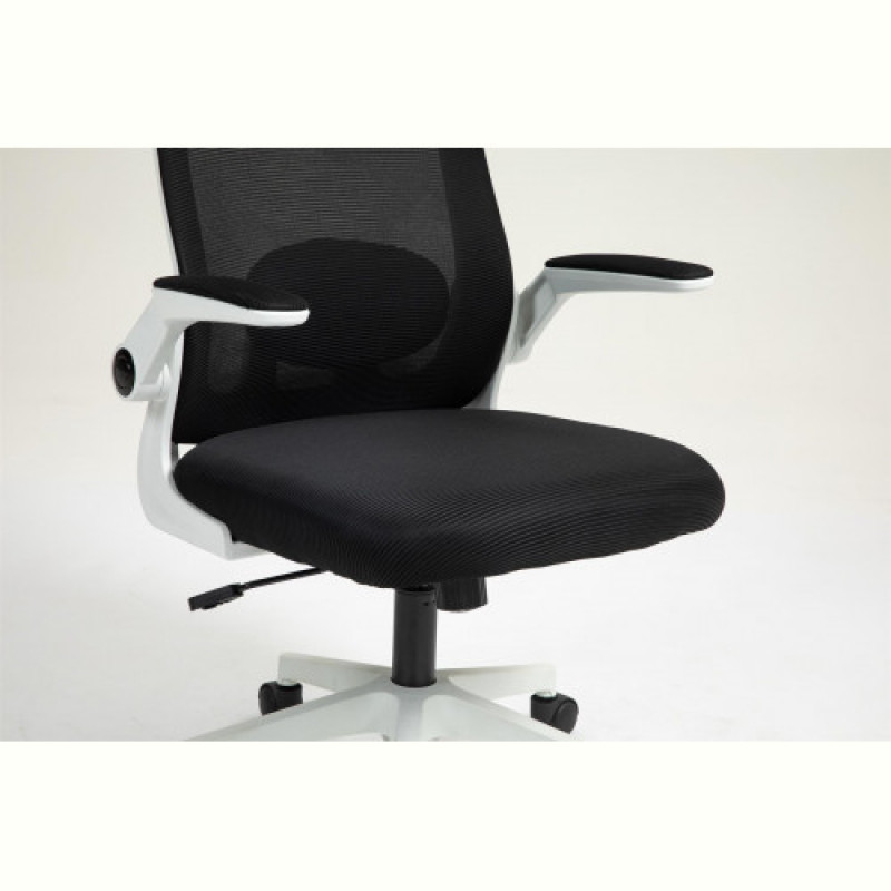 Крісло для геймерів Aula F526 Gaming Chair Black (6948391286235)