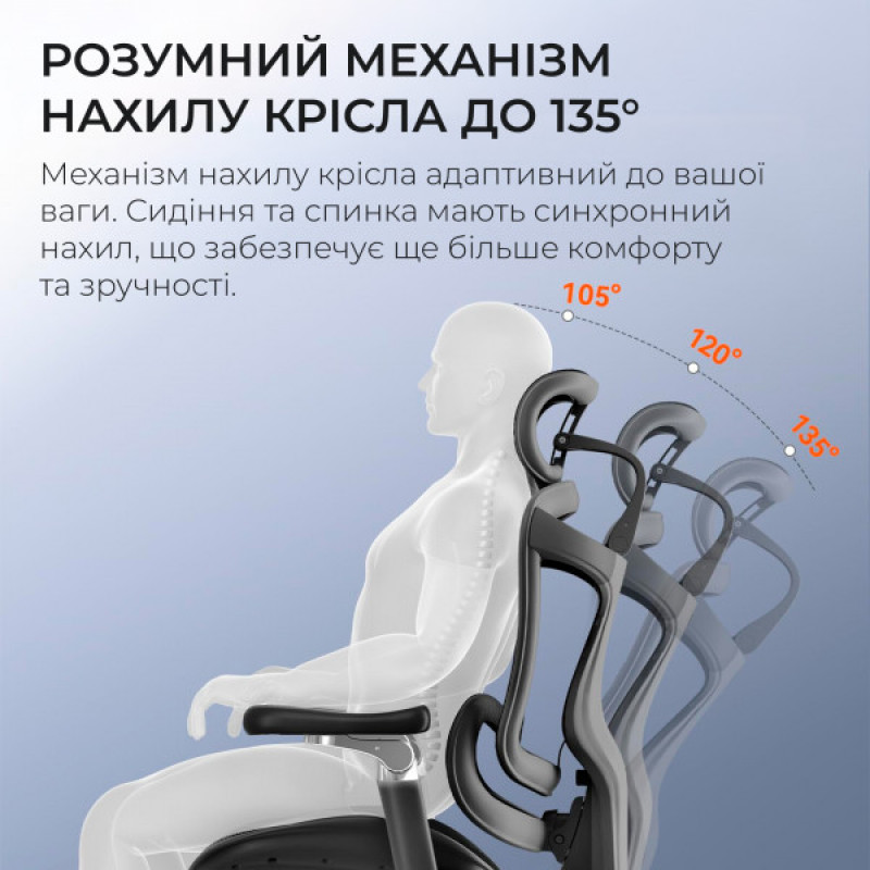 Кресло офисное с подставкой для ног Sihoo DORO C300 Pro Mesh Black with footrest (DORO-C300-PRO-M101-JT)