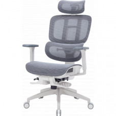 Офисное кресло OfficePro Skyline OC750-W-DG-DG