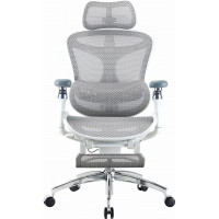 Кресло офисное с подставкой для ног Sihoo DORO C300 Pro Mesh White with footrest (DORO-C300-PRO-M102-JT)