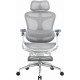 Кресло офисное с подставкой для ног Sihoo DORO C300 Pro Mesh White with footrest (DORO-C300-PRO-M102-JT)