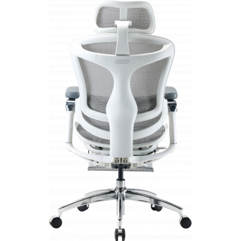 Кресло офисное с подставкой для ног Sihoo DORO C300 Pro Mesh White with footrest (DORO-C300-PRO-M102-JT)