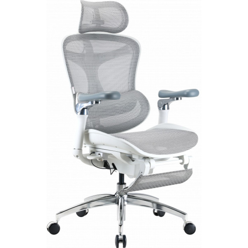 Кресло офисное с подставкой для ног Sihoo DORO C300 Pro Mesh White with footrest (DORO-C300-PRO-M102-JT)
