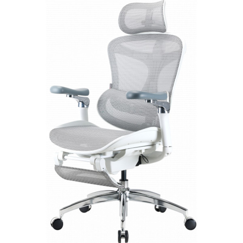 Кресло офисное с подставкой для ног Sihoo DORO C300 Pro Mesh White with footrest (DORO-C300-PRO-M102-JT)