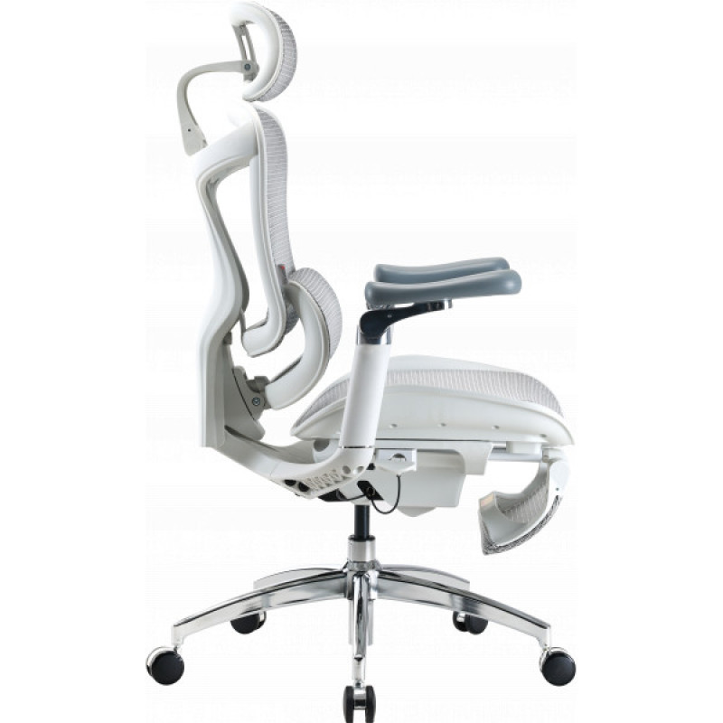 Кресло офисное с подставкой для ног Sihoo DORO C300 Pro Mesh White with footrest (DORO-C300-PRO-M102-JT)