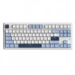 Клавиатура Ajazz AK870 V2 Flying Fish Switch White USB-C (AK870-V2-FF-BWB)