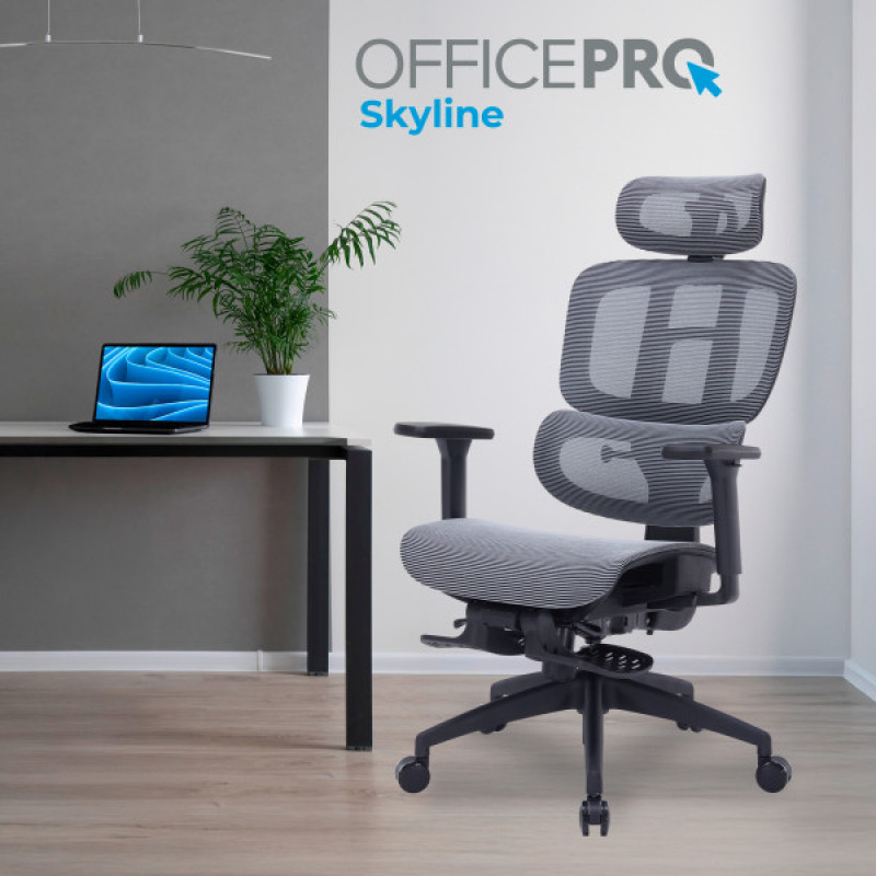 Офисное кресло OfficePro Skyline OC750-B-DG-DG