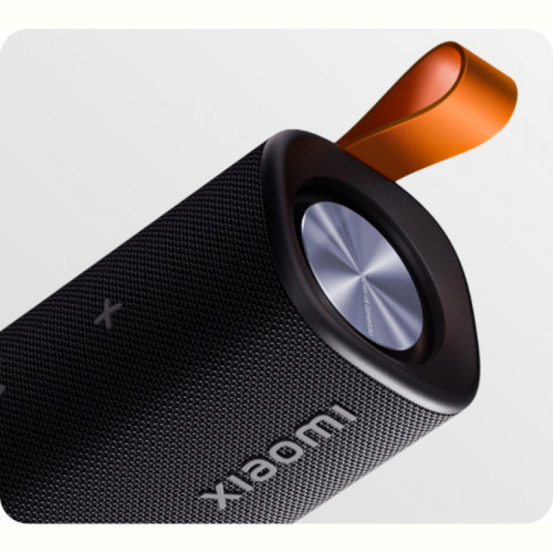 Акустическая система Xiaomi Sound Outdoor Black (QBH4261GL)